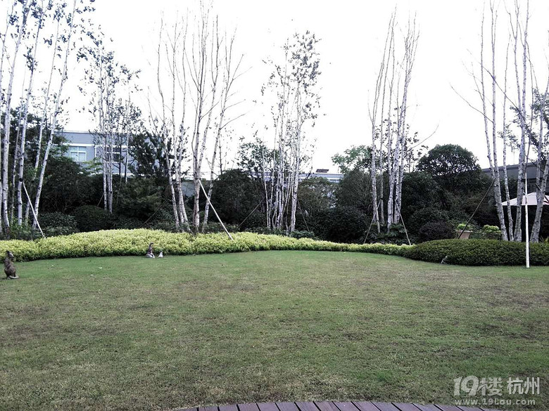 首开德胜上郡看房日记-网友自留地-杭州19楼