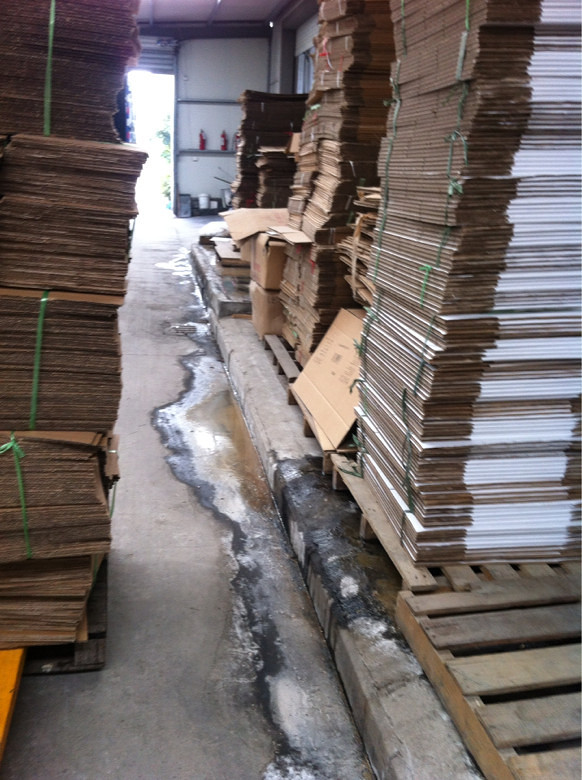 看到杭州采芝斋食品有限公司场内的卫生环境-