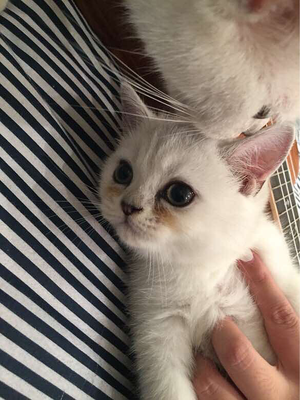 已出，請版主刪帖，謝謝~