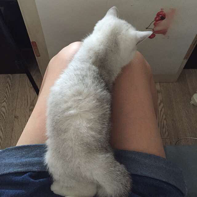 已出，請版主刪帖，謝謝~