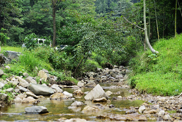 心缺自尊,言行必卑贱;心缺敬畏,-手机随手拍-杭
