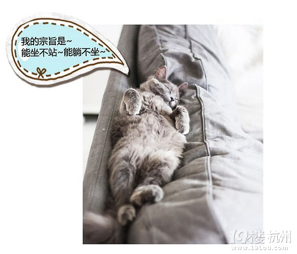 萌寵趣:慵懶是一種感覺