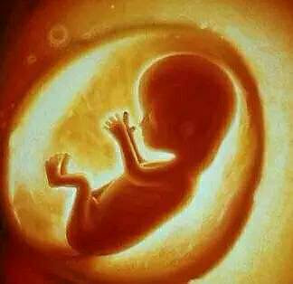 胎儿性别鉴定大揭秘 在关于造人的若-健康之