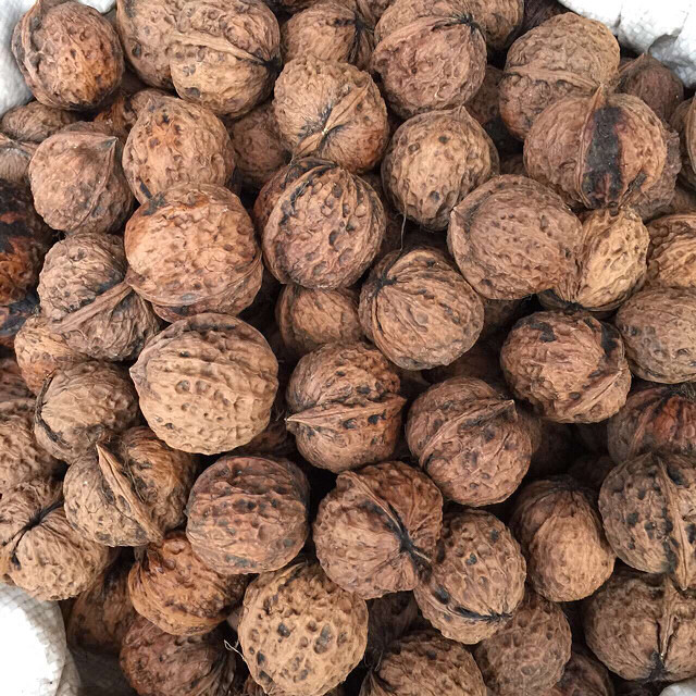 大凉山洲德昌美食手机篇,一-果蔬随手拍-杭州1和配方美食图美食图片
