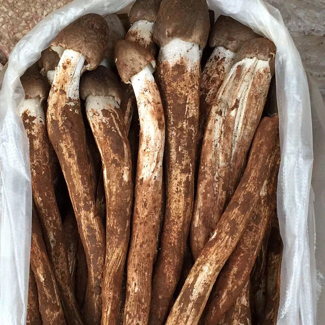 大凉山洲德昌手机篇,三-美食随手拍-杭州19楼科学版美食求真秀图片