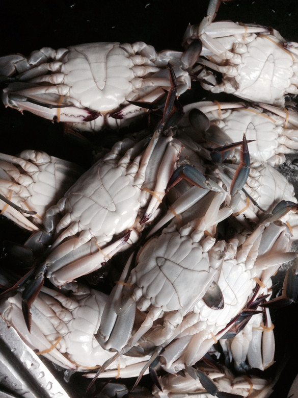 各种海鲜,快到碗里来,我已经流口水了-手机随手