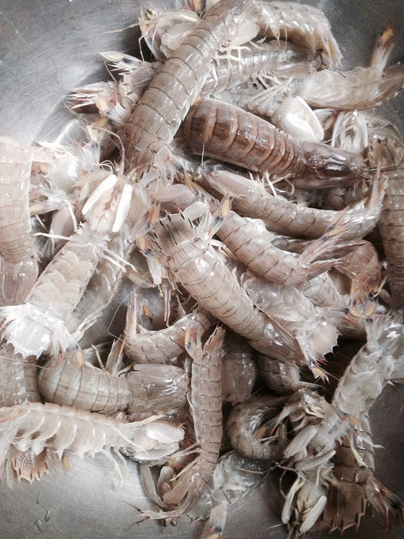 各种海鲜,快到碗里来,我已经流口水了-手机随手