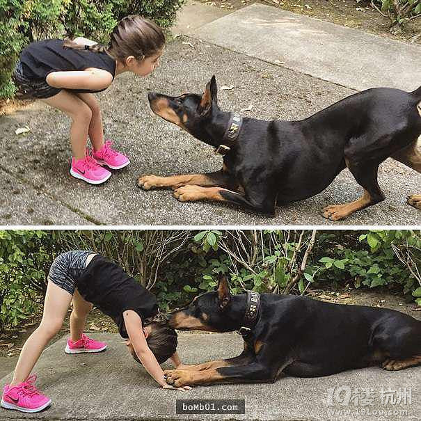 3歲女兒和杜賓犬的生活照 他們的互動感覺好幸福