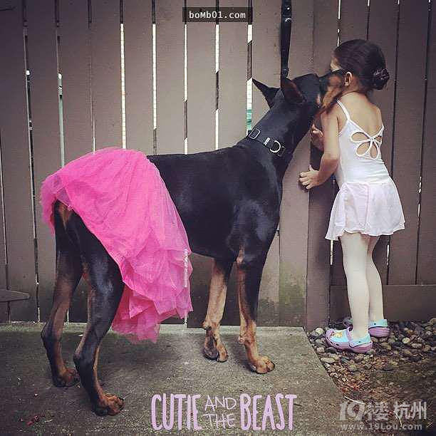 3歲女兒和杜賓犬的生活照 他們的互動感覺好幸福