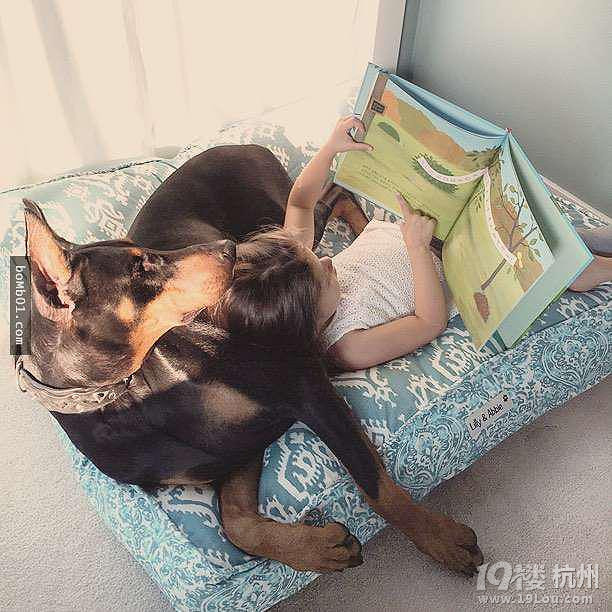 3歲女兒和杜賓犬的生活照 他們的互動感覺好幸福