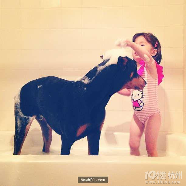 3歲女兒和杜賓犬的生活照 他們的互動感覺好幸福
