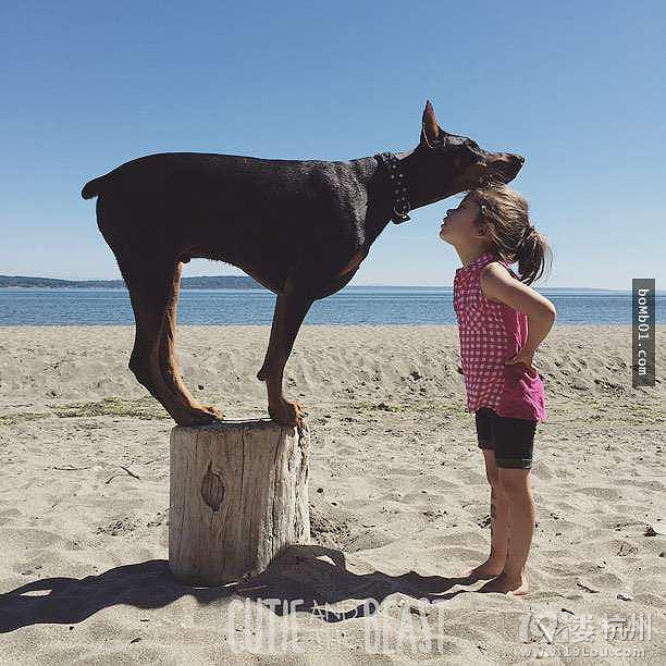 3歲女兒和杜賓犬的生活照 他們的互動感覺好幸福