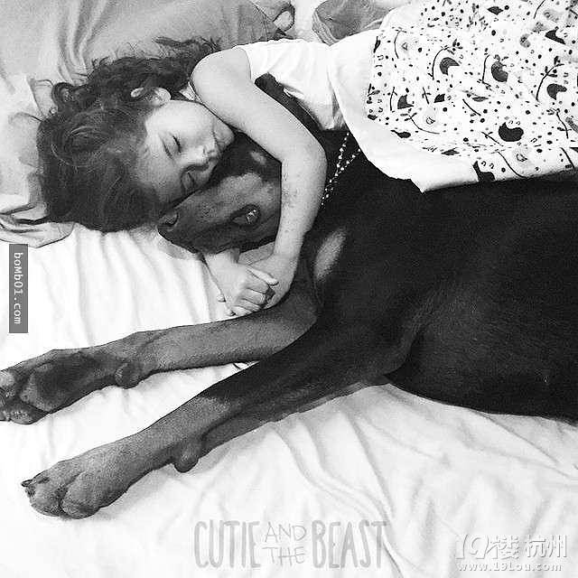 3歲女兒和杜賓犬的生活照 他們的互動感覺好幸福