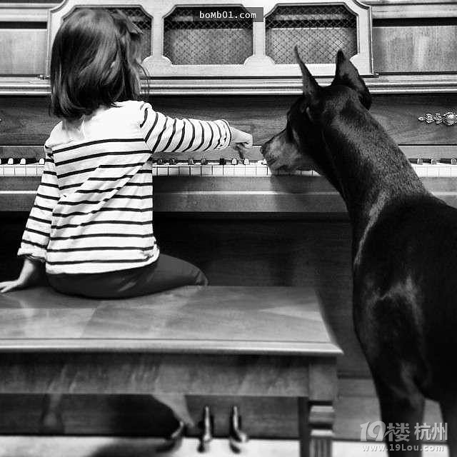 3歲女兒和杜賓犬的生活照 他們的互動感覺好幸福