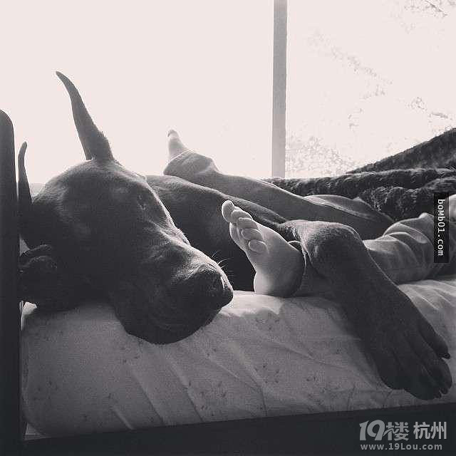 3歲女兒和杜賓犬的生活照 他們的互動感覺好幸福