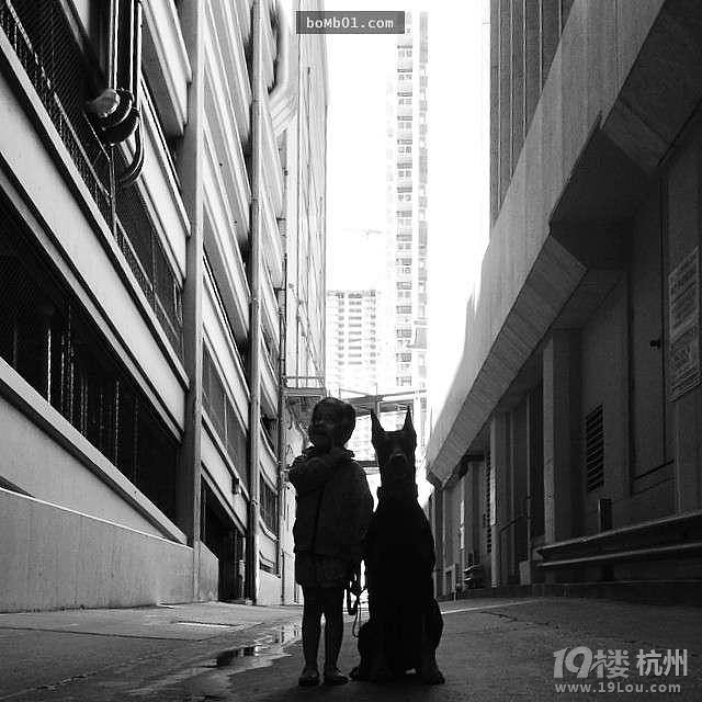3歲女兒和杜賓犬的生活照 他們的互動感覺好幸福