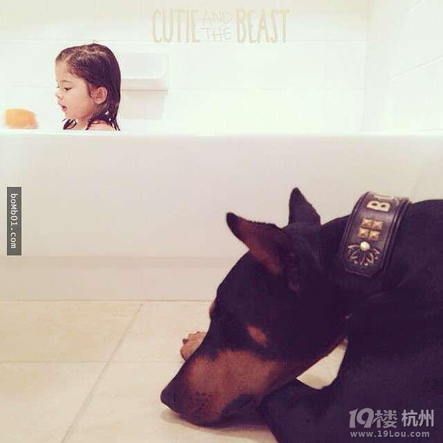 3歲女兒和杜賓犬的生活照 他們的互動感覺好幸福