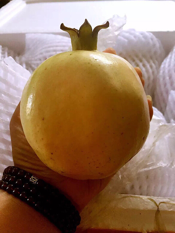 正宗云南蒙自白石榴 -手机随手拍-杭州19楼