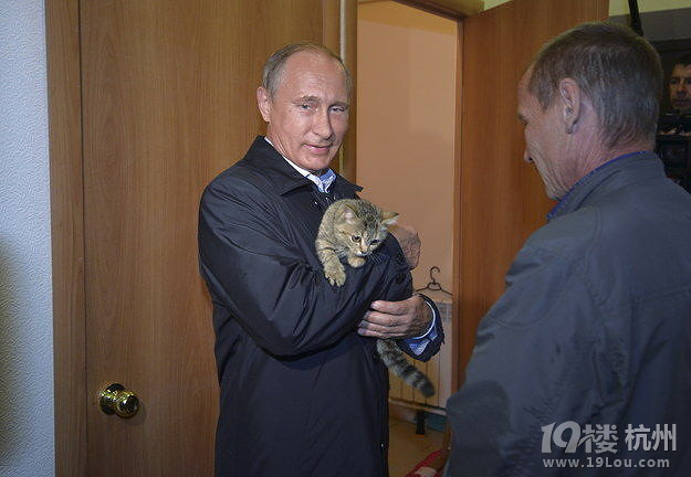 奥巴马爱狗,普京就去抱猫-宠物新闻-家有宠物-