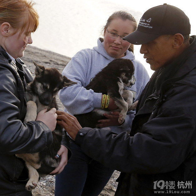 奥巴马爱狗,普京就去抱猫-宠物新闻-家有宠物-