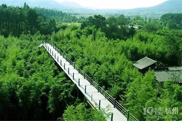 初秋好去处!杭州苹果周边竹林,治愈你被城市污中文特色密室逃脱游戏攻略图片
