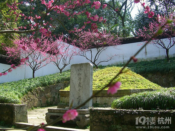 杭州名人墓葬 林和靖墓-风水-飞星紫微-杭州19