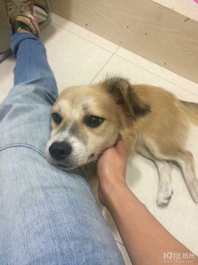 360度展现萌萌哒AMG洗白白--找家家