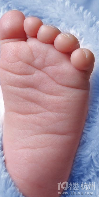 怀孕初期吃什么保胎,最有用的全给你-准妈妈俱