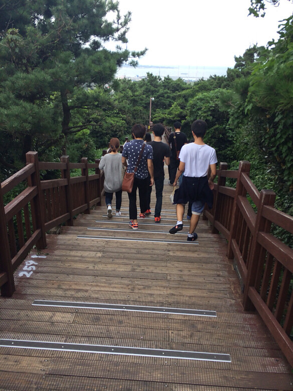 都说上山容易下山难,我怎么觉的下-手机随手拍