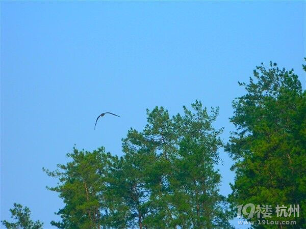 无与伦比的你-千岛湖 -旅游问答-大杭州旅游-杭