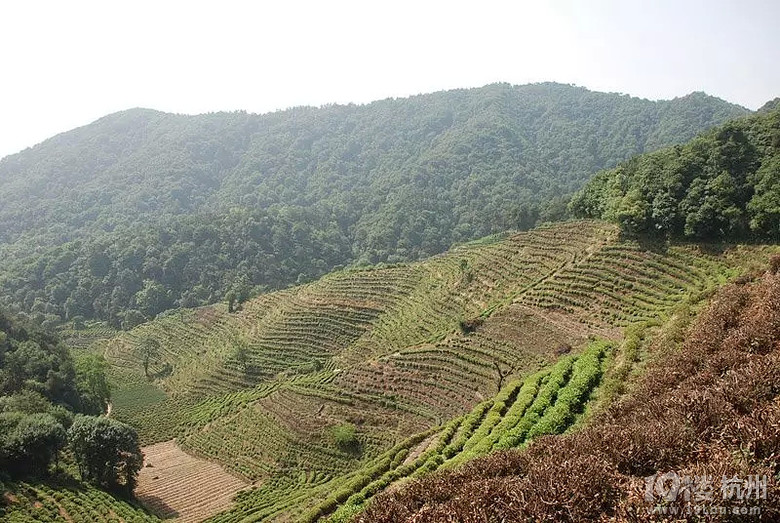 满城桂花香,天气超舒爽,杭州经典登山路线MAR