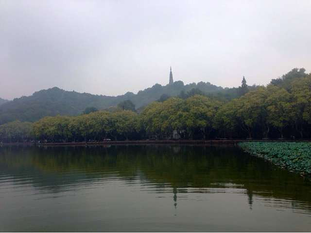 一阵秋风一阵雨,雨打桂花落满地。徜徉湖边-大