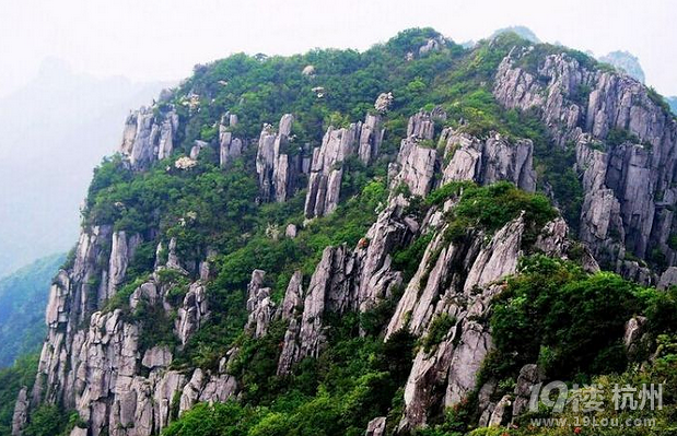 10月4号~5号 登浙西之巅 清凉峰-休闲商家自荐