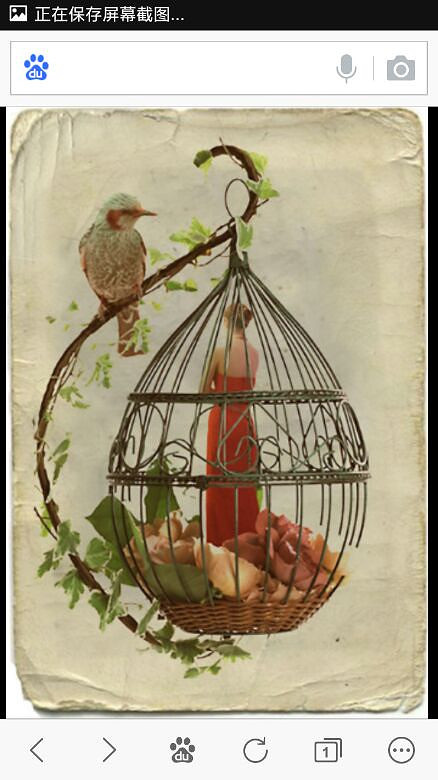 结婚的女人就如笼中鸟 失了所有 自由