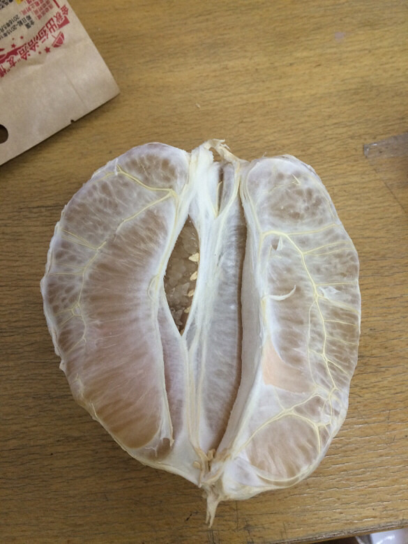 中秋要吃柚子,沙田柚好吃-手机随手拍-杭州19楼