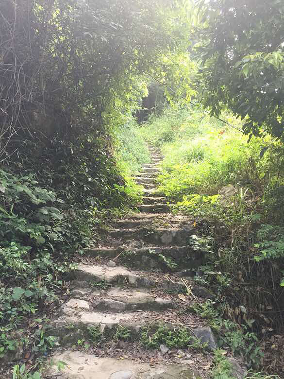 上山容易下山难,小腿抖的厉害,缺乏锻炼啊-手机