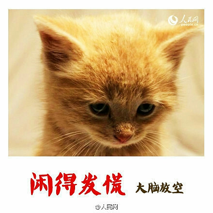 早上赖床的理由_-口水乐园-杭州19楼