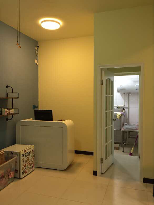 招聘:向日葵宠物美容工作室,招聘美容师助-杭州