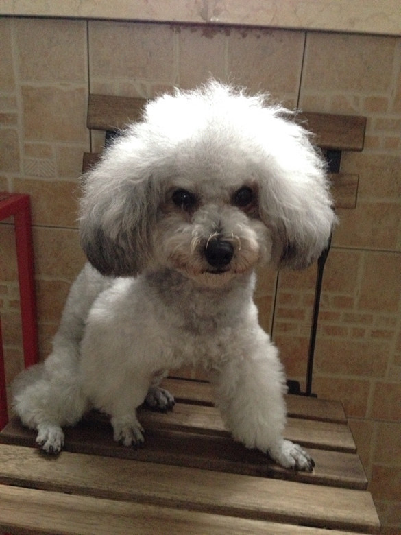 主银回来了我睡着了