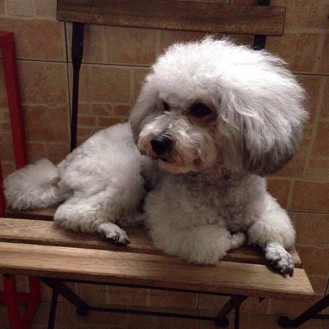 主银回来了我睡着了