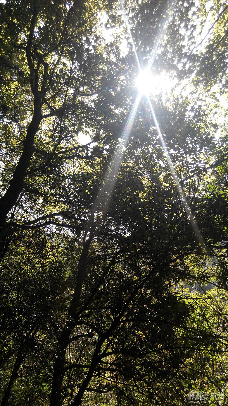 2015.10.5 ҂һA