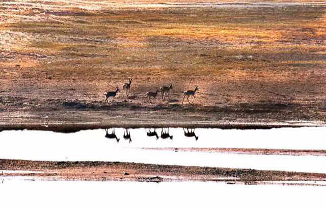 可可西里什么时候再去啊-手机随手拍-杭州19楼