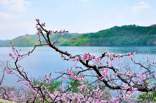 横跨东北三省接壤北京上海,一条高铁线带你来