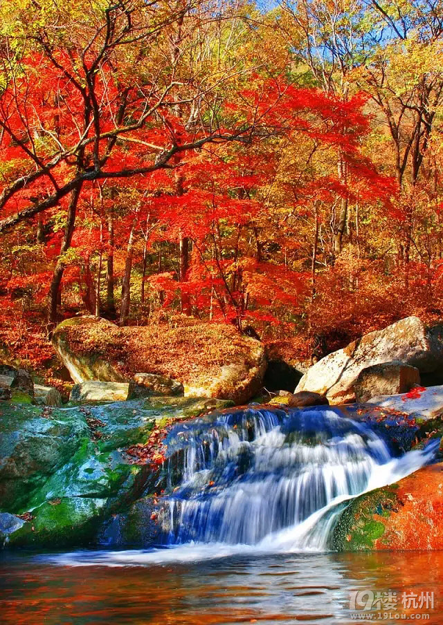 横跨东北三省接壤北京上海,一条高铁线带你来