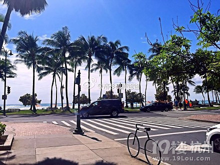 赴美生子诚实过海关可行吗?遇到不友好的海关