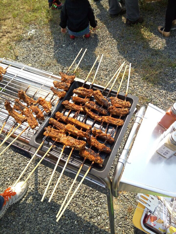 今天,天气非常好 又是周末。终于见着大太-201