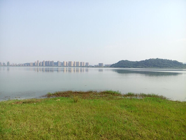 今天,天气非常好 又是周末。终于见着大太-201