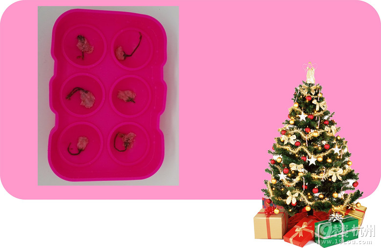 ʥQ(ji)c(din)āˣλ^(hu)_Ҫk˾(hu)