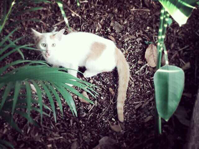 你问我要去向何方,我指着大海的方向。-旅游先