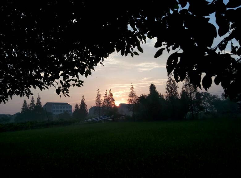 跑步第三天 中午迈出了前三步 朋友说我-边走边